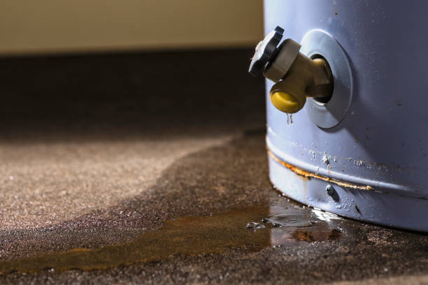 Best Flooded house restoration  in Pleasureville, KY