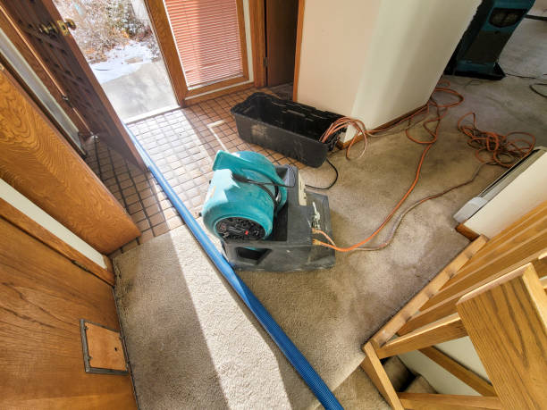 Best Emergency water damage restoration  in Pleasureville, KY