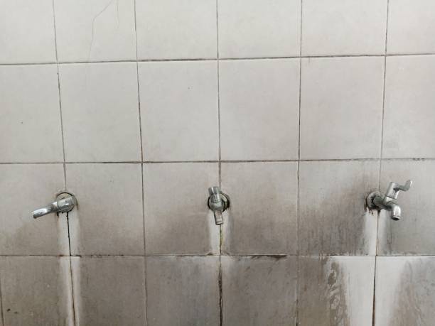 Best Commercial water damage restoration  in Pleasureville, KY